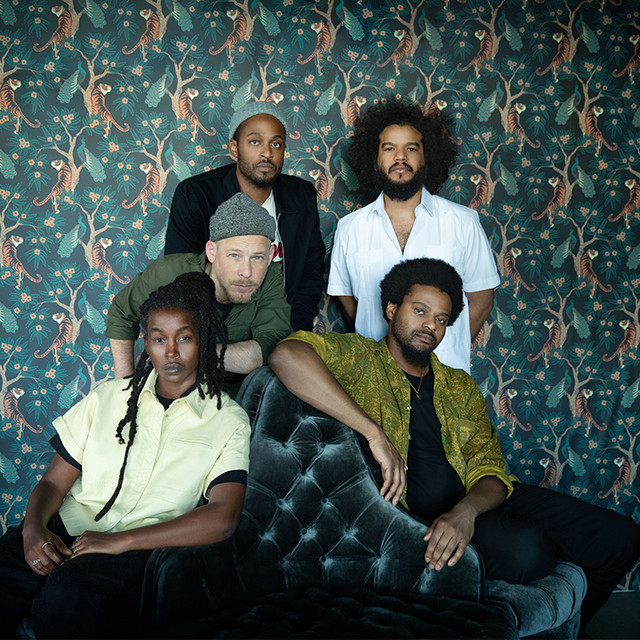 Irreversible Entanglements photo